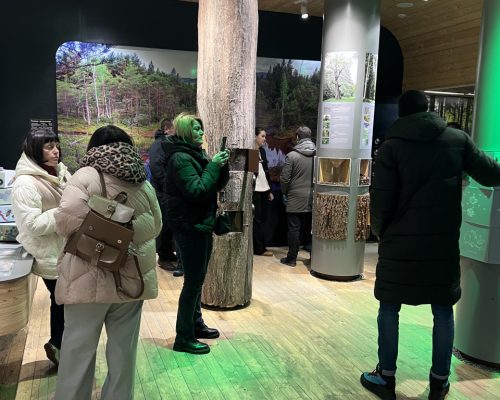 photo_2025-12-08_15-53-08